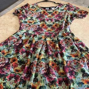 Lularoe Amelia
